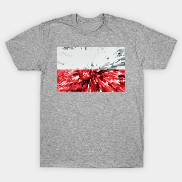 Extruded flag of Poland T-Shirt by DrPen